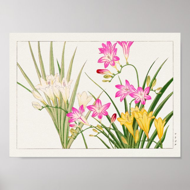 Freesia by Tanigami Konan Poster (Front)