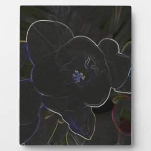 freesia flowers outlined plaque