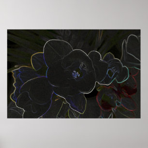 freesia flowers outlined poster