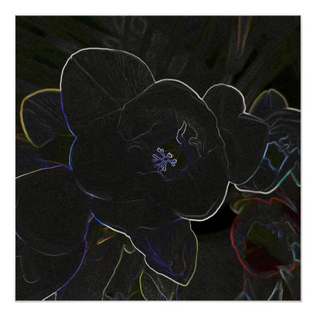 freesia flowers outlined poster (Front)