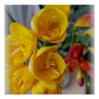 freesias bouquet
