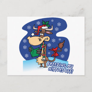 freezing my nipples off funny xmas cow holiday postcard