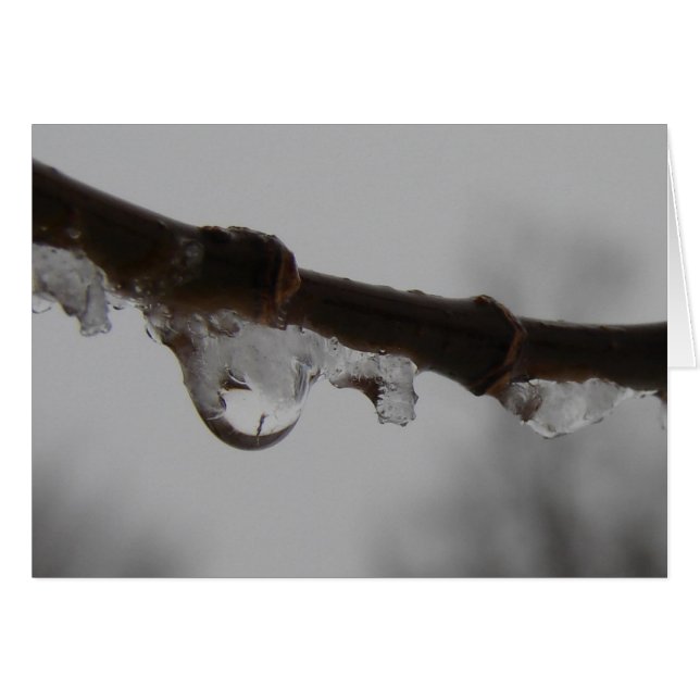 Freezing Rain (Front Horizontal)