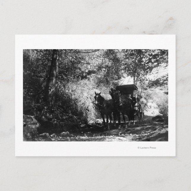 Freight Horses Taking a Break Postcard (Front)