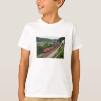 freight train in St Goar
