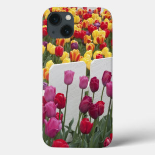 Fremont Solstice Parade iPhone 13 Case