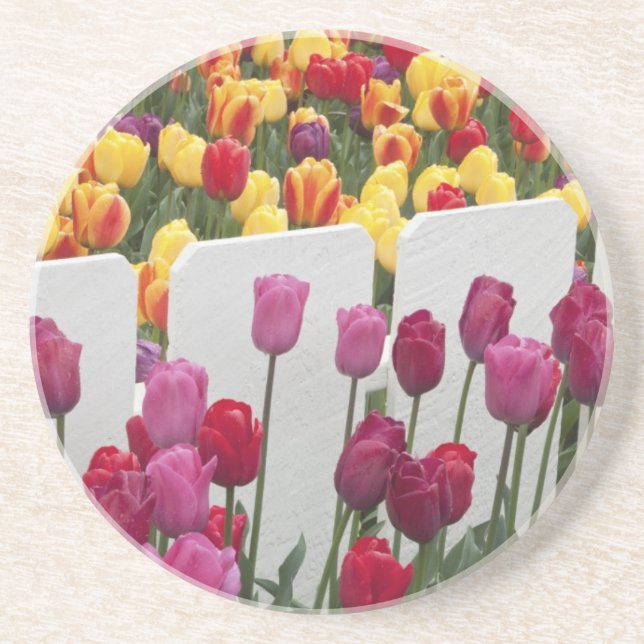 Fremont Solstice Parade Coaster (Front)