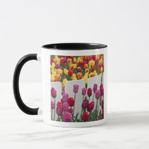 Fremont Solstice Parade Mug