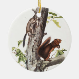 Fremont's Squirrel and Sooty Squirrel Illustration Ceramic Ornament