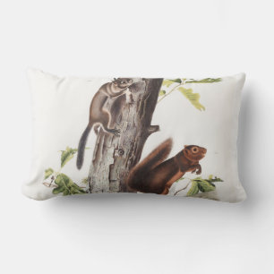 Fremont's Squirrel and Sooty Squirrel Illustration Lumbar Cushion