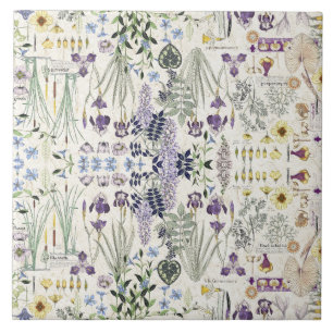 French Art Nouveau Botanical Flowers Ceramic Tile