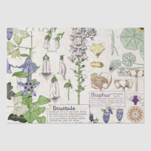 French Art Nouveau Foxglove Flowers Tissue Paper