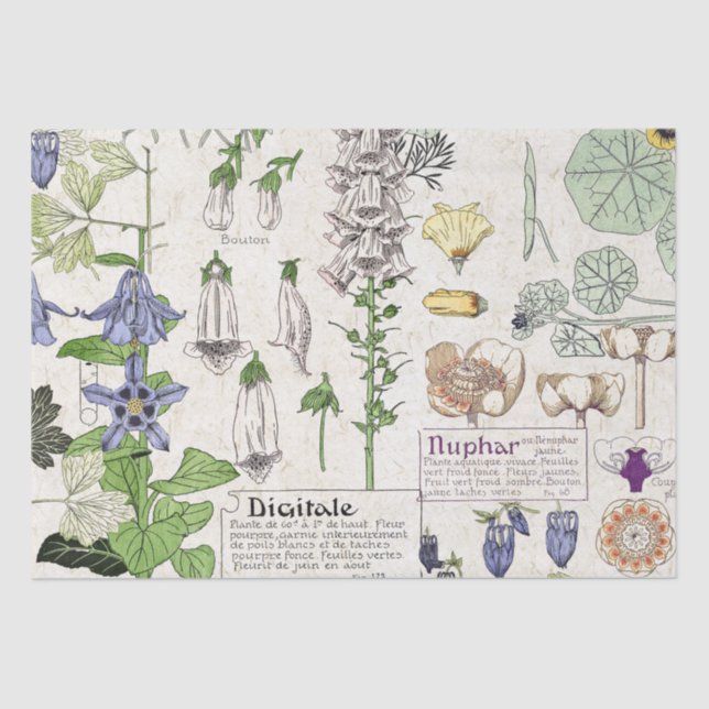 French Art Nouveau Foxglove Flowers Tissue Paper (Front)