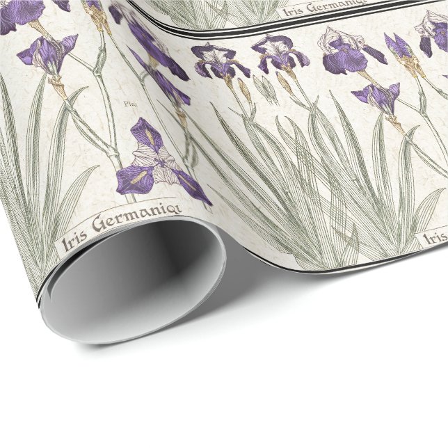 French Art Nouveau Iris Flowers Wrapping Paper (Roll Corner)