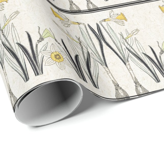French Art Nouveau Narcissus Flower Wrapping Paper (Roll Corner)