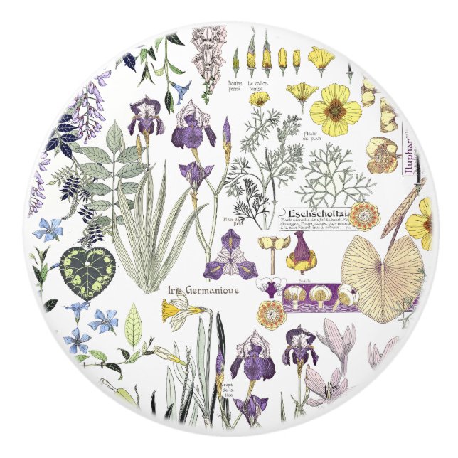 French Art Nouveau Vintage Flowers Ceramic Knob (Front)