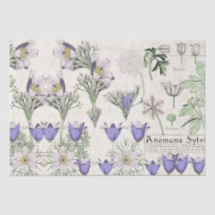 French Art Nouveau Windflower Flowers Tissue Paper