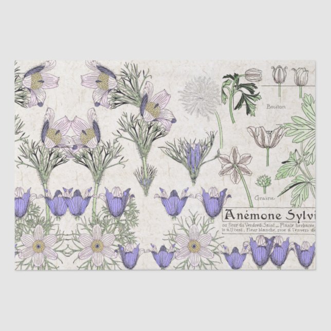 French Art Nouveau Windflower Flowers Tissue Paper (Front)