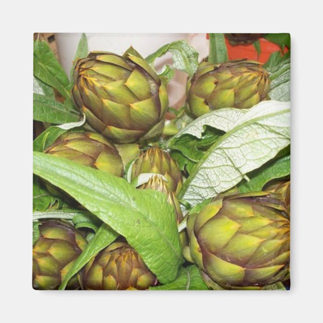 French Artichokes - Magnets (Front)