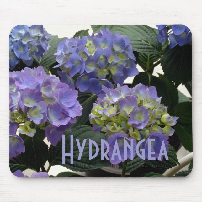 French Baby Blue Hydrangeas Mouse Pad (Front)
