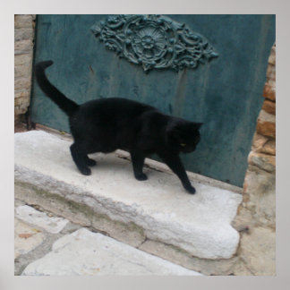 French Black Cat Nice France Print Posters
