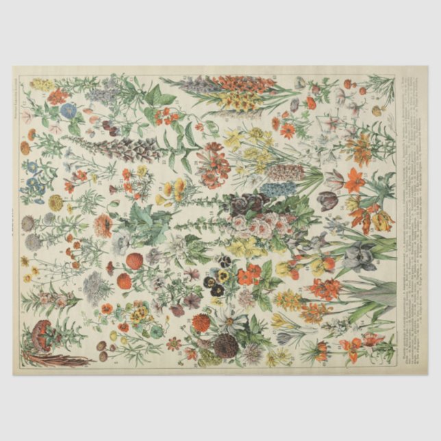 French Botanical Annual Flowers Tissue Paper (Front)