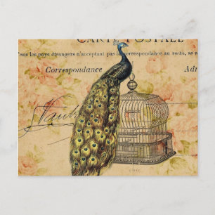 french botanical art nouveau vintage peacock postcard