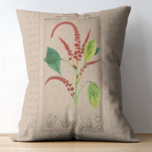 French Botanical Illustration Amaranthus Decorative Cushion