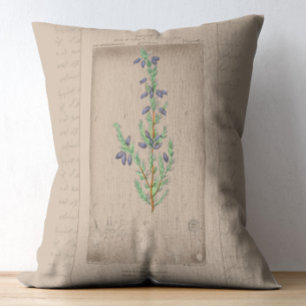 French Botanical Illustration Bell Heather Decorative Cushion