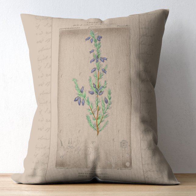 French Botanical Illustration Bell Heather Decorative Cushion (Creator Uploaded)
