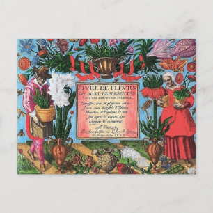 French Botanical Illustration Postcard