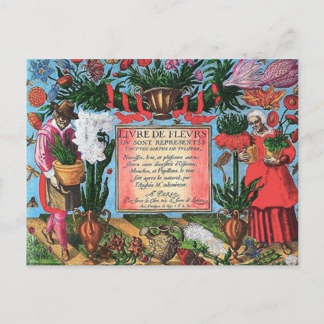French Botanical Illustration Postcard (Front)