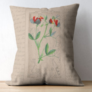 French Botanical Illustration Sweet Pea Decorative Cushion