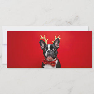 French Bouledogue greeting card with pap knot
