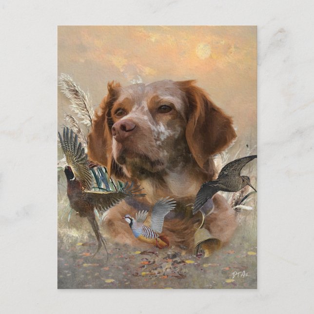 French Brittany, Bird Hunting Art  Holiday Postcard (Front)
