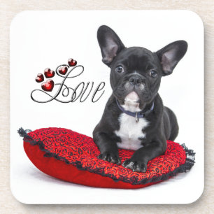 French Bull Dog - Frenchie - Love Coaster