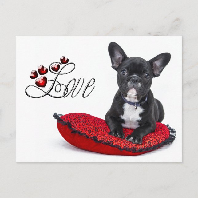French Bull Dog - Frenchie - Love Postcard (Front)