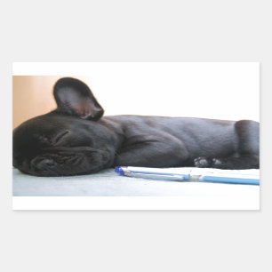 French Bull Dog Pet Puppy Cute Love Destiny Rectangular Sticker