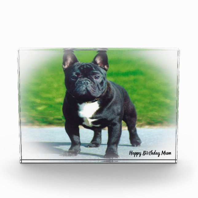 French Bull Dog Photo Block (Front)