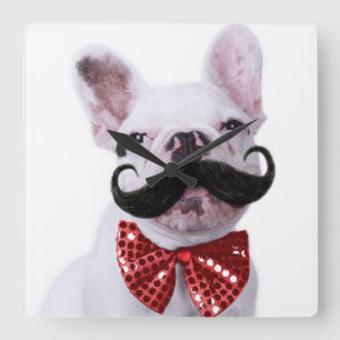 French Bull Dog Puppy With Moustache Square Wall Clock