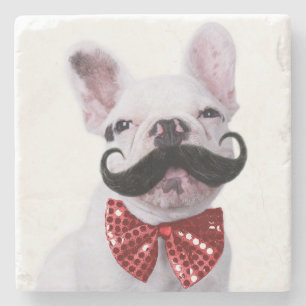 French Bull Dog Puppy With Moustache Stone Coaster