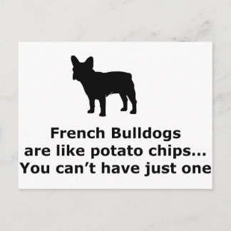 French Bull Dogs are like Potato Chips Postcard