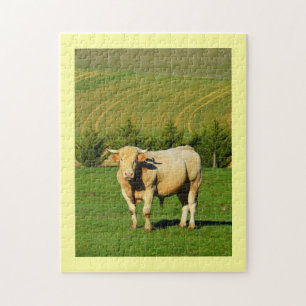 French bull jigsaw puzzle