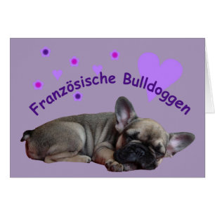 French bulldog