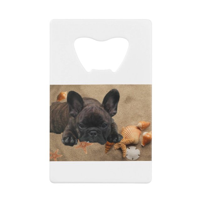 French bulldog (Front)