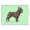 French Bulldog!