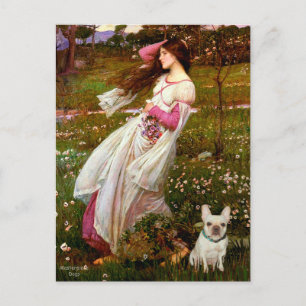 French Bulldog 1 - Windflowers Postcard
