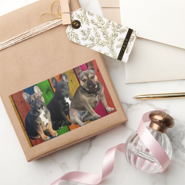 French Bulldog 3 dogs French Bulldog Rectangular Sticker (Gifting)