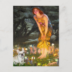 French Bulldog 3 - MidEve Postcard