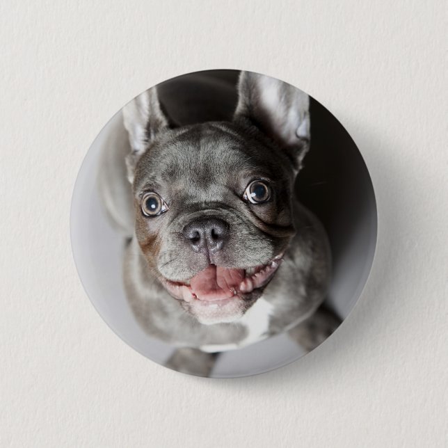 French bulldog 6 cm round badge (Front)